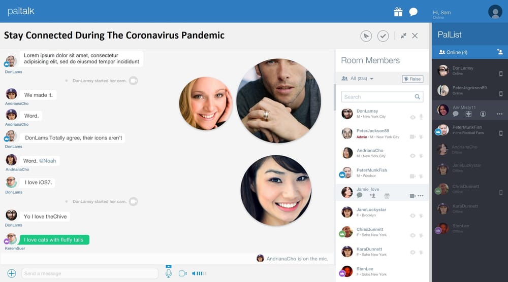 Mirami Alternatives: Top Live Chat Room Platforms for 2025